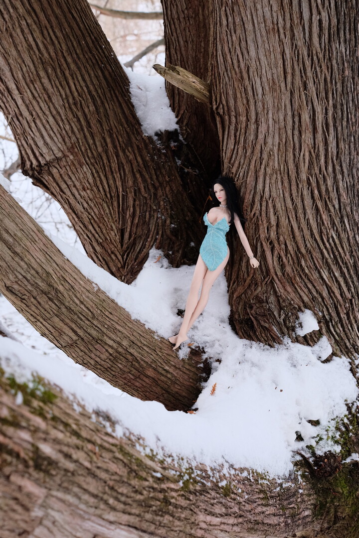 The Snow Fairy 1.JPG