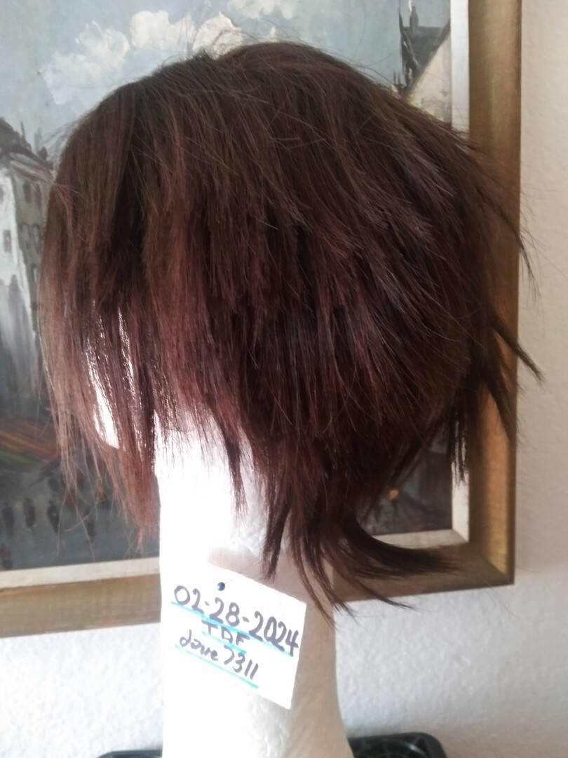 wig 1 / human hair