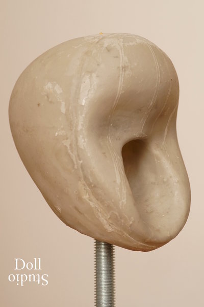 Core of common oral head design