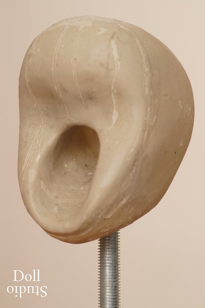 Core of common oral head design