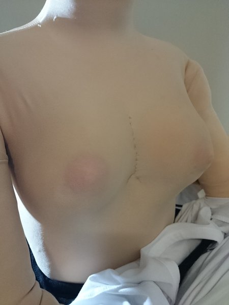 with homemade suckction cup nipples