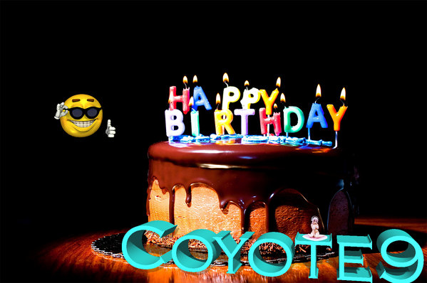 birthday Coyote9.jpg