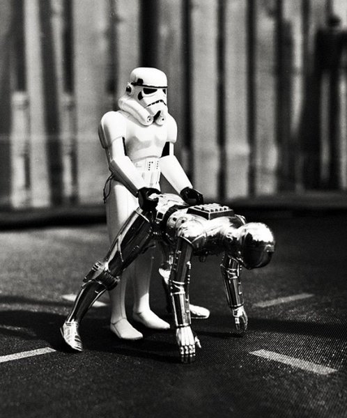 Stormtrooper-doggy-C3PO.jpg