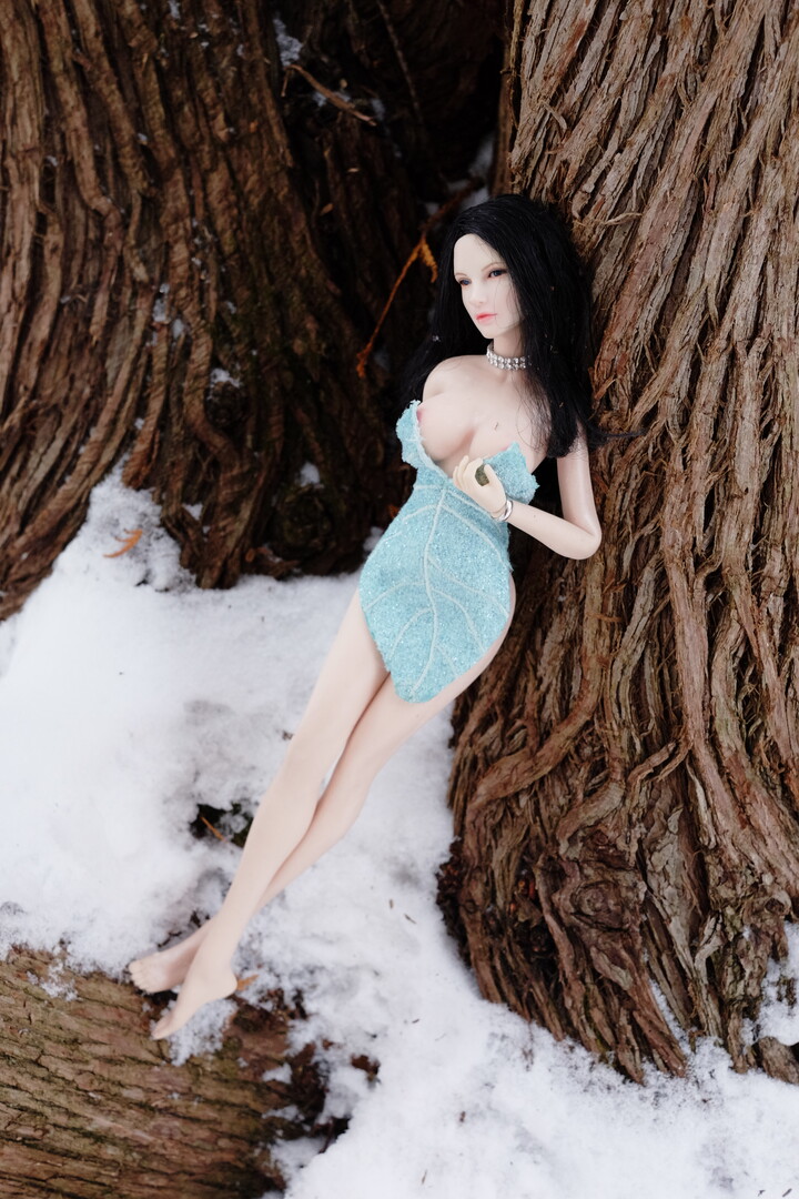 The Snow Fairy 2.JPG