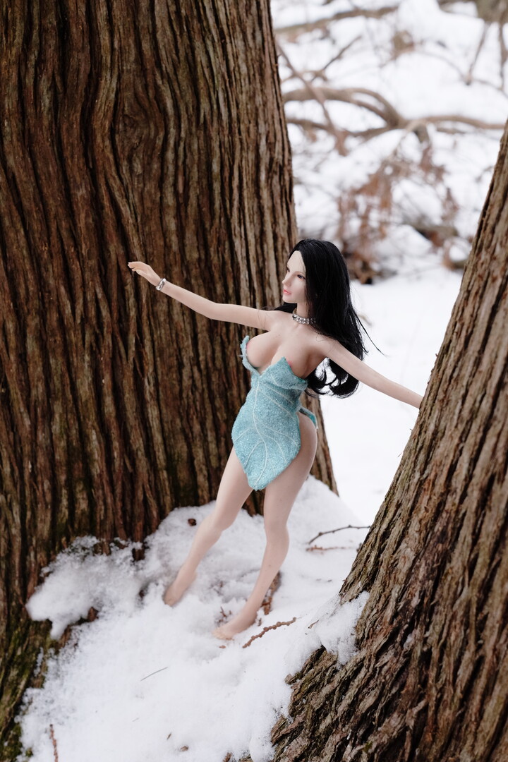 The Snow Fairy 9.JPG