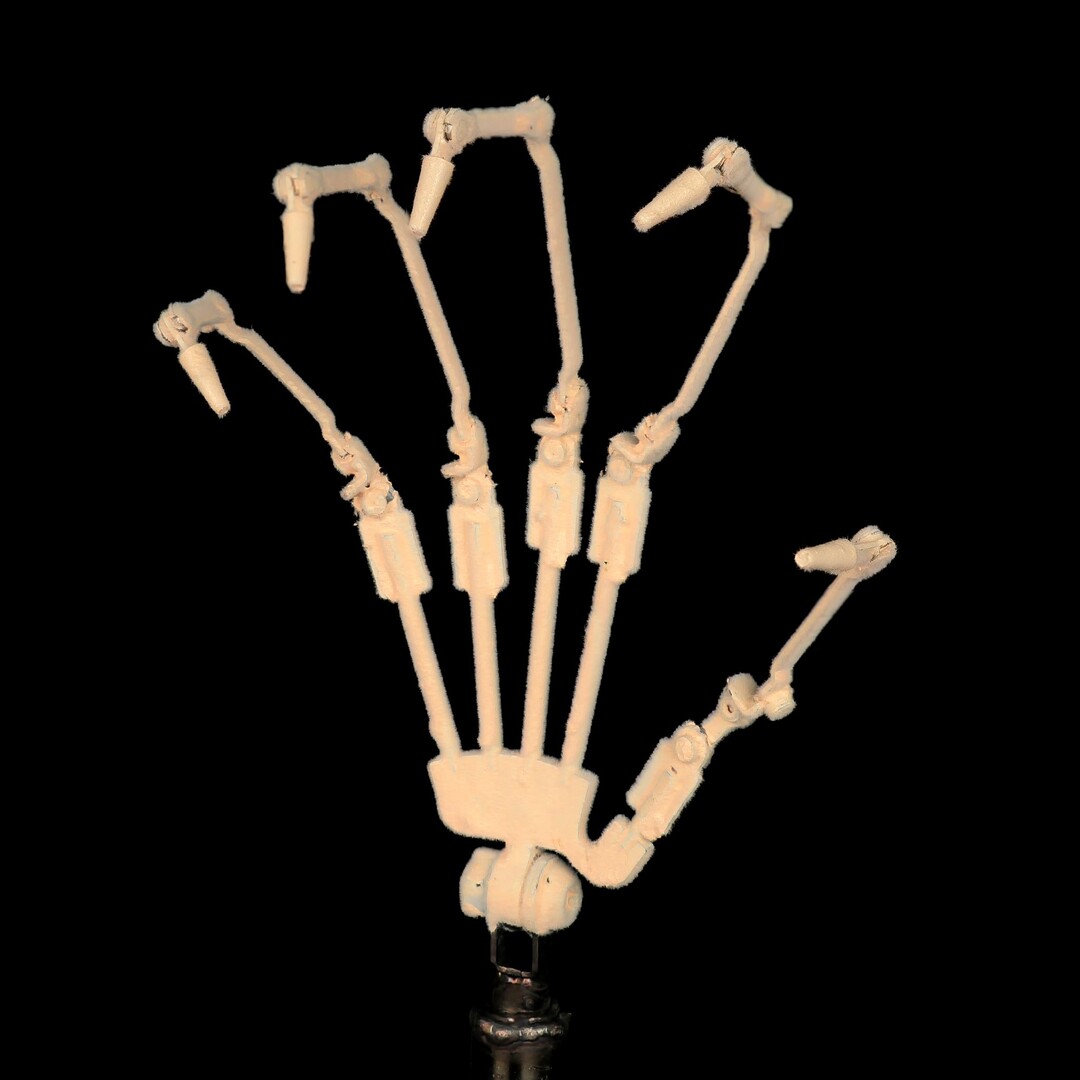Hand Skeleton.jpg