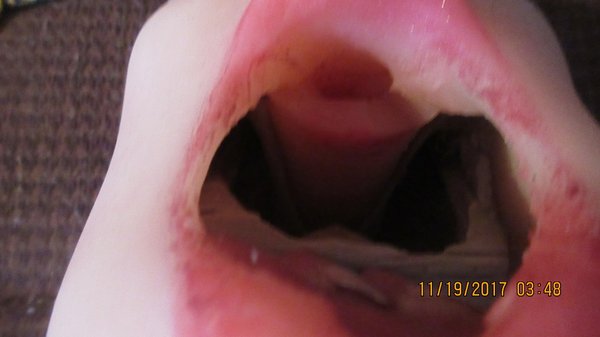 Mouth interior, showing oral tube