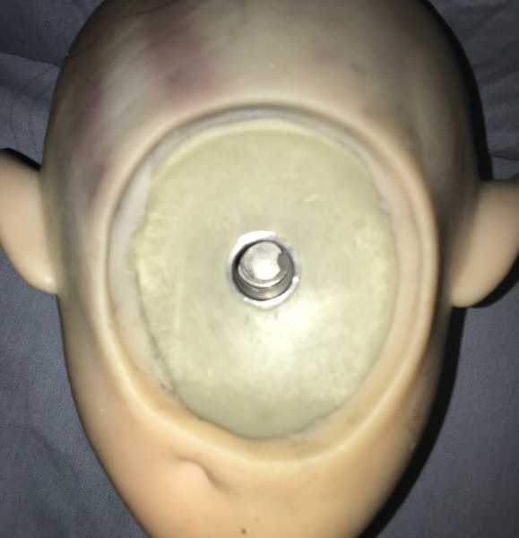 YL 148cm Shael - 3 neck screw bolt hole in head   tdf.jpg
