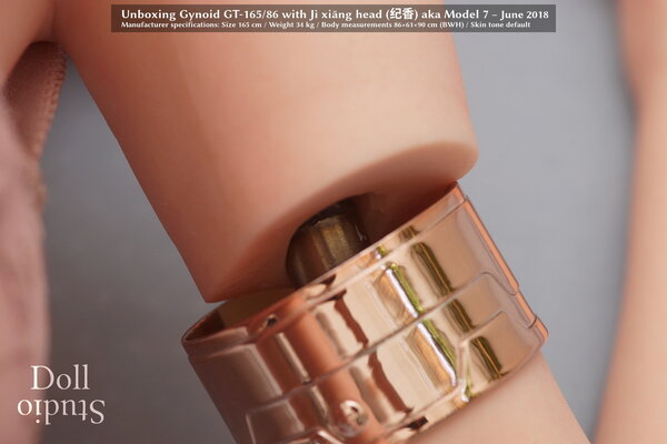 unboxing-gynoid-gt-165-86-body-ji-xiang-arms-6814-dollstudio.jpg