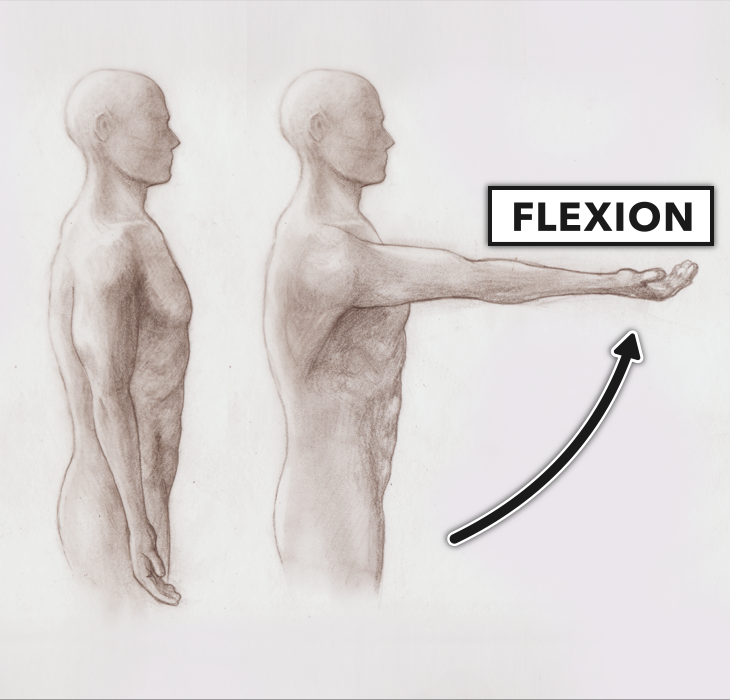 6-Fig-shoulder-flecxion-extention2.png
